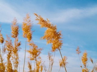 F67B8E9C-1C08-425F-8003-06B24DB96659/L0/001