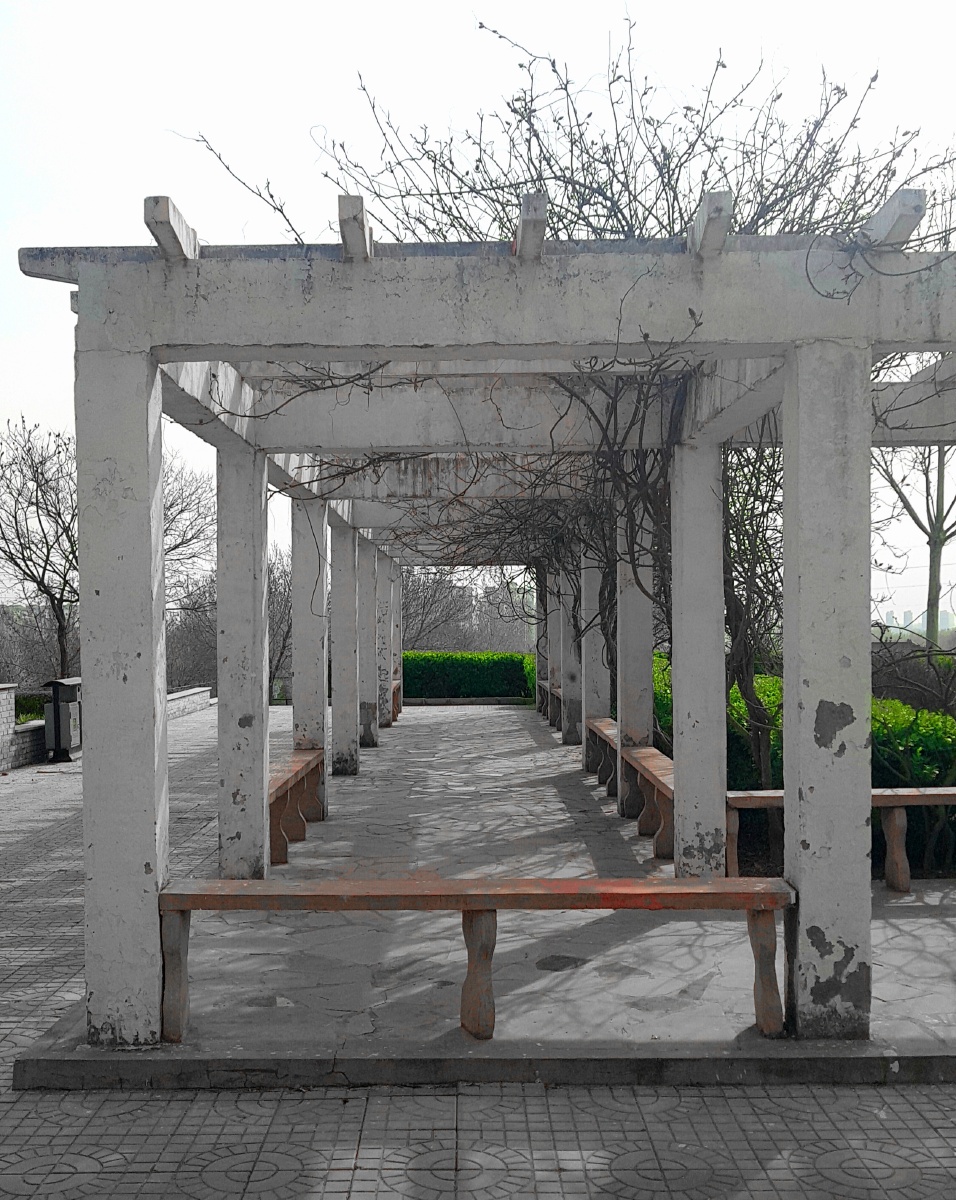 初春的公园廊道