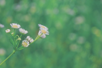 94F57E2D-F052-49B5-A22D-DBFD235C02C3/L0/001