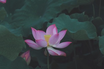 43296E0F-7957-483C-B3C7-1FB3E345551B/L0/001