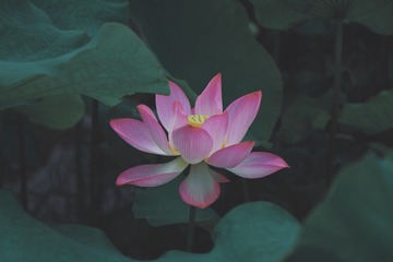 E3C306A5-0AE9-4B0A-8E78-10E8B0D56BDB/L0/001