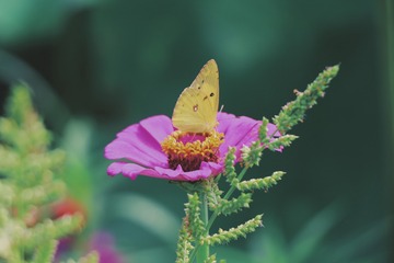 48F49F18-46E7-431A-8CBC-30E3012BD0A8/L0/001