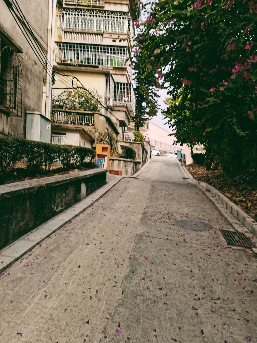 闭上眼睛,寻找巷子里的味道,漫步小巷子感受大自然宁静