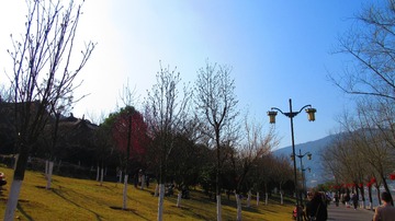 B46B87CC-7D6A-4F8B-BBBF-8C42694F3783/L0/001