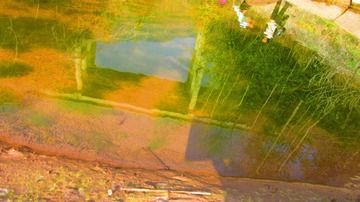 A1E641E5-0EAD-488C-8771-62CB1190134D/L0/001