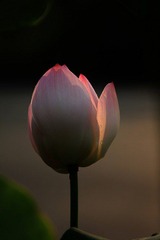 IMG_1813
