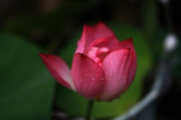 IMG_1767