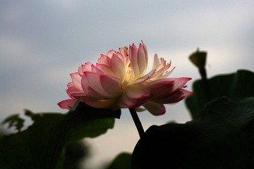 IMG_1721