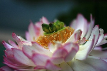 IMG_1717
