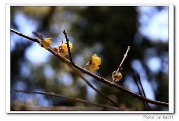 IMG_7428