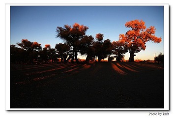 IMG_4150