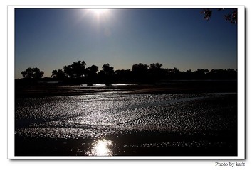 IMG_3989
