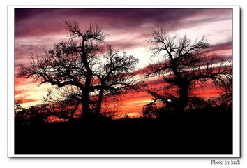 IMG_3352