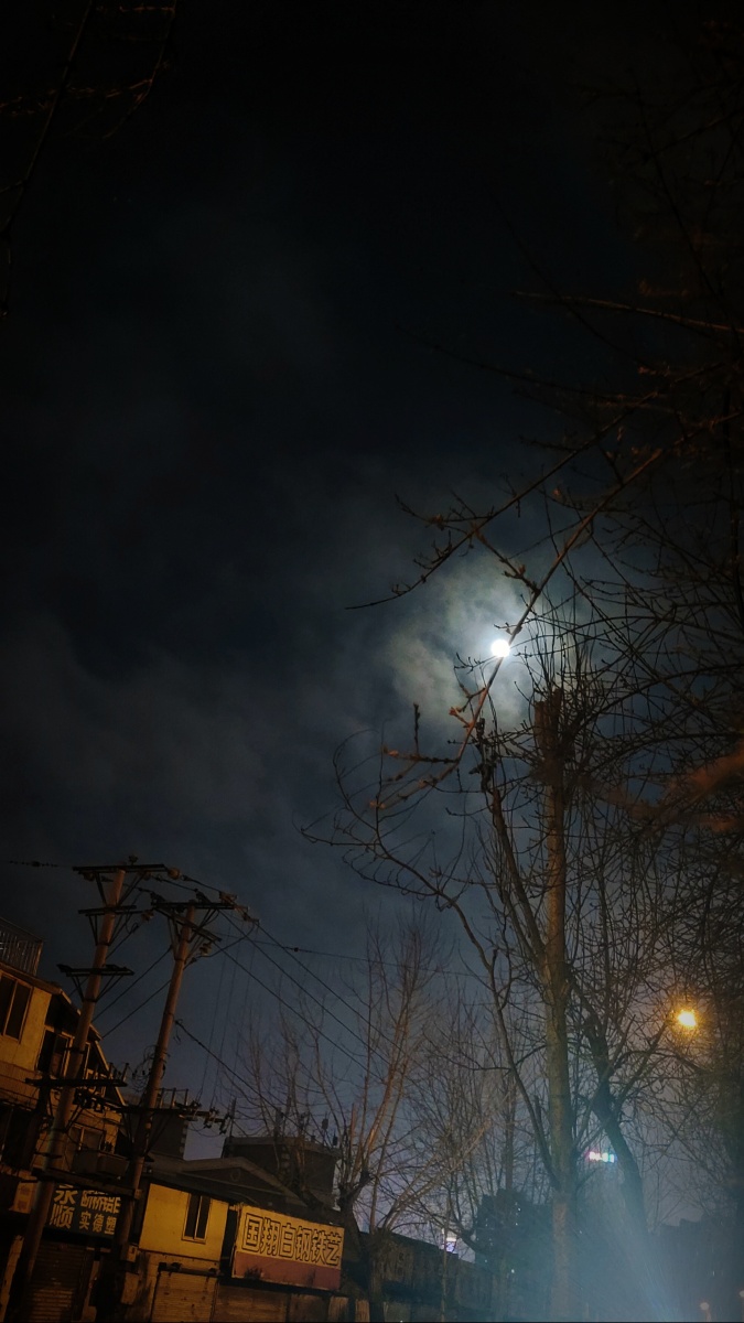 逆光-微暖 - 图虫