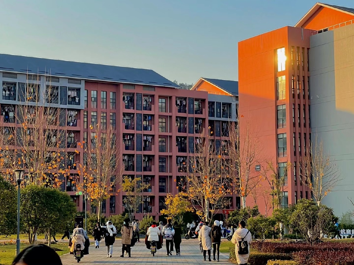 校园大学生活