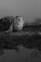 77621070-DD90-4E73-B2B3-ABBD01EF60D2/L0/001