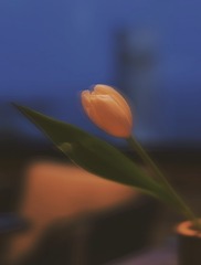 68430594-DDB6-4CF3-9D40-8A4D476F1E2E/L0/001