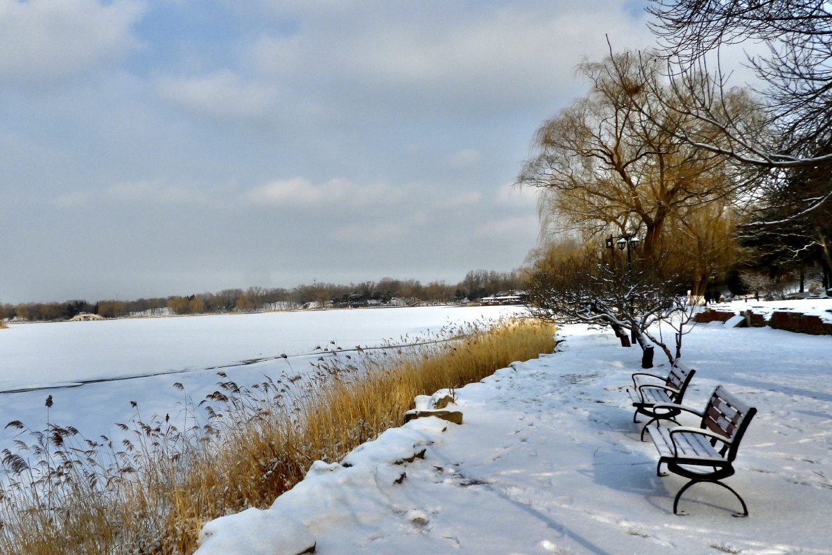 湖边雪景