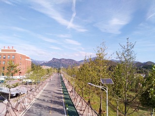 998627