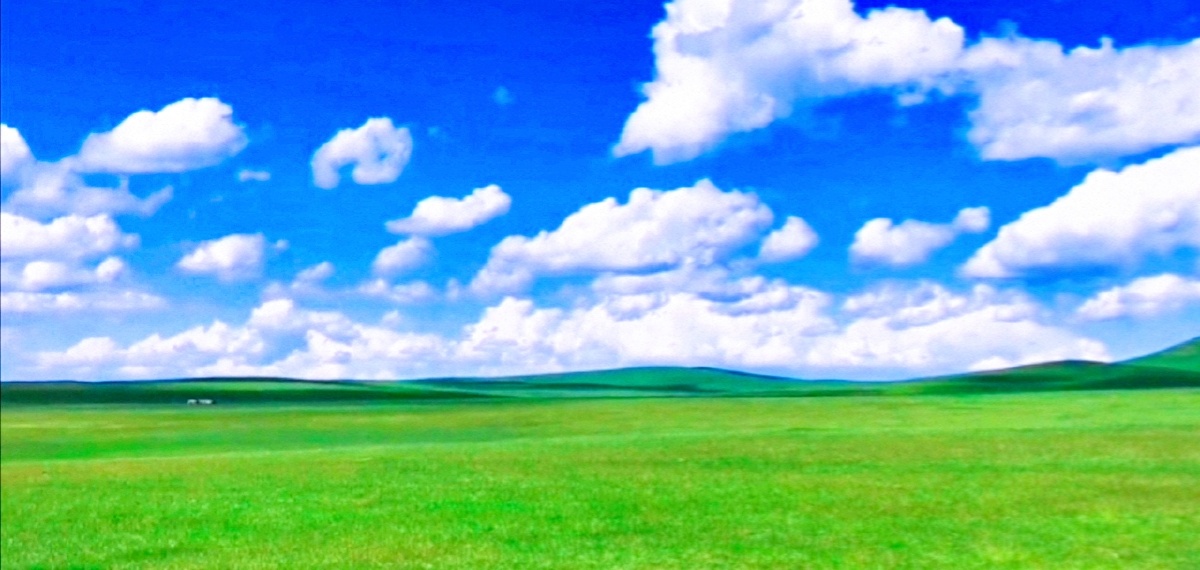 一望无际天地相连美丽的大草原让人心旷神怡