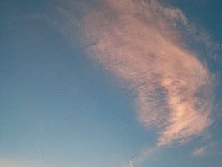 1000058933
