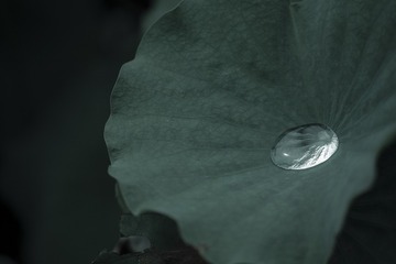 1000017502