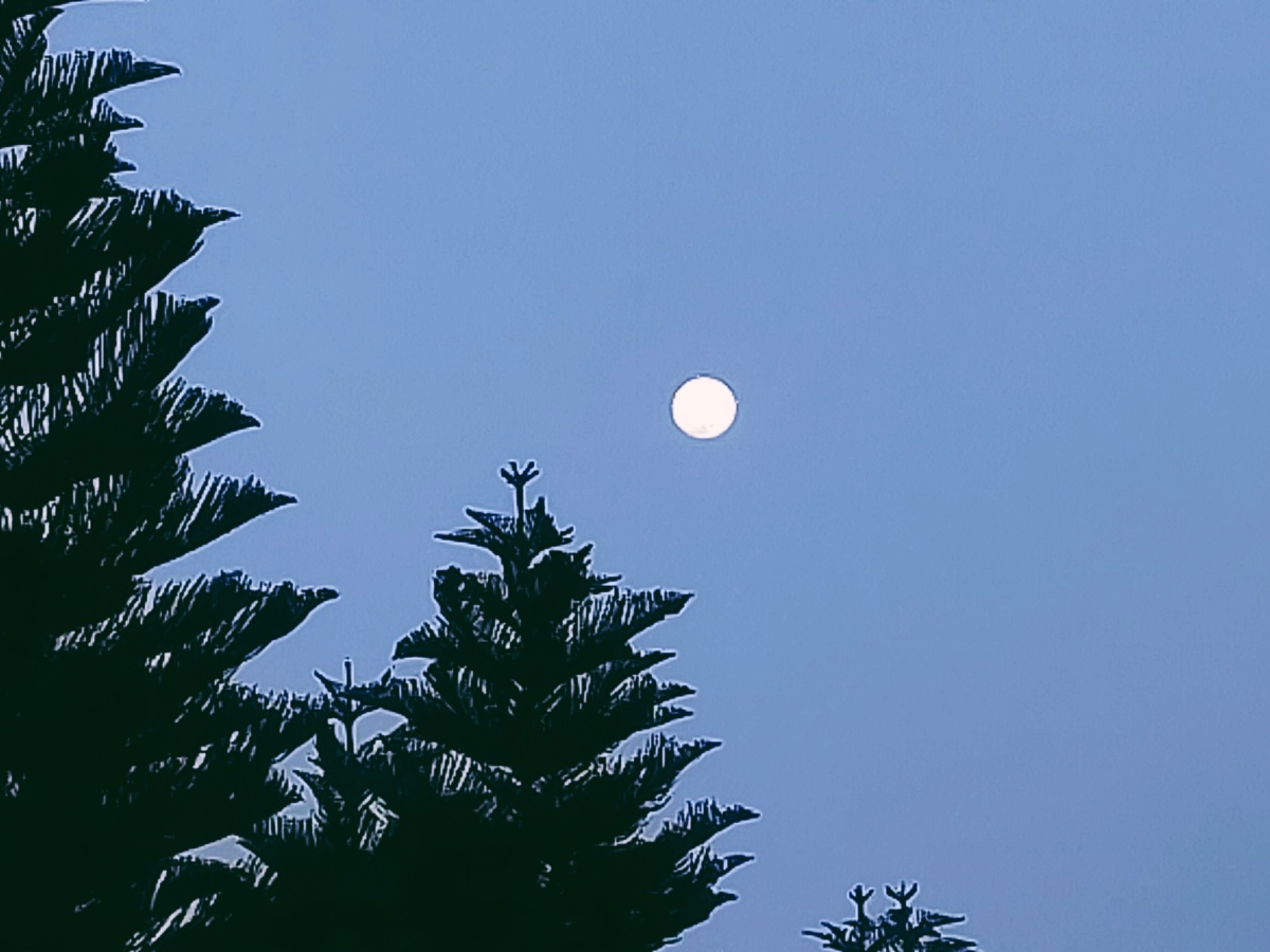 镜头外的月亮好圆好大好亮条件有限凑合今日杂图记录08