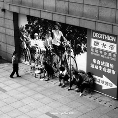R1021259a.jpg