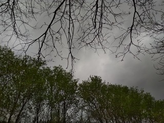 585