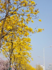 F18E034B-40AB-435B-A433-5663423CED94/L0/001