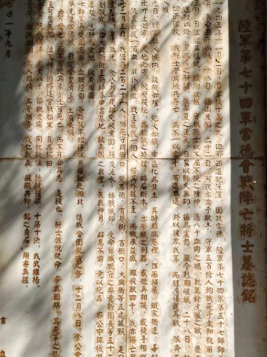 小马小马旋转木马0102 - 图虫