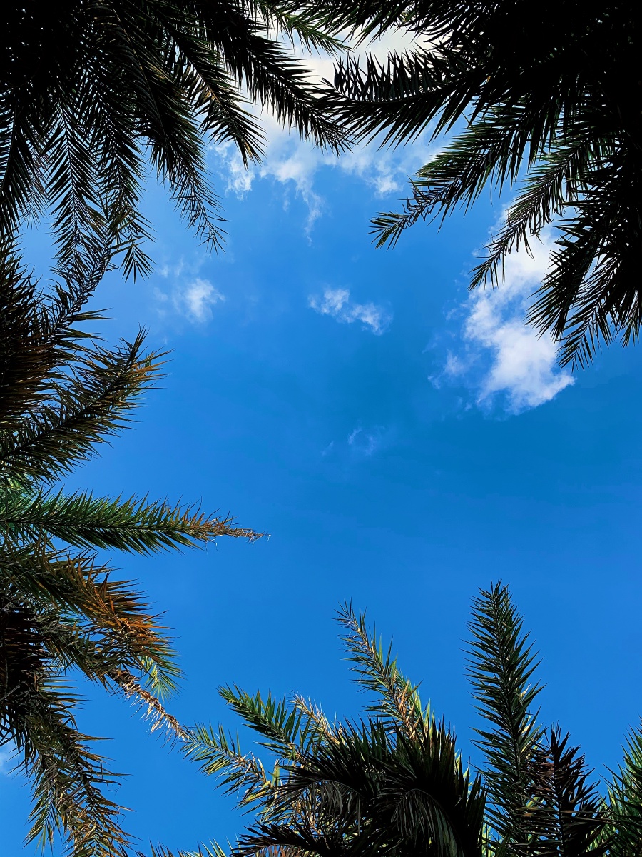 夏天美丽景色处处皆是