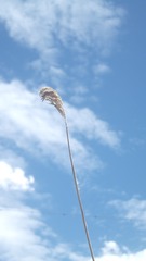 2856