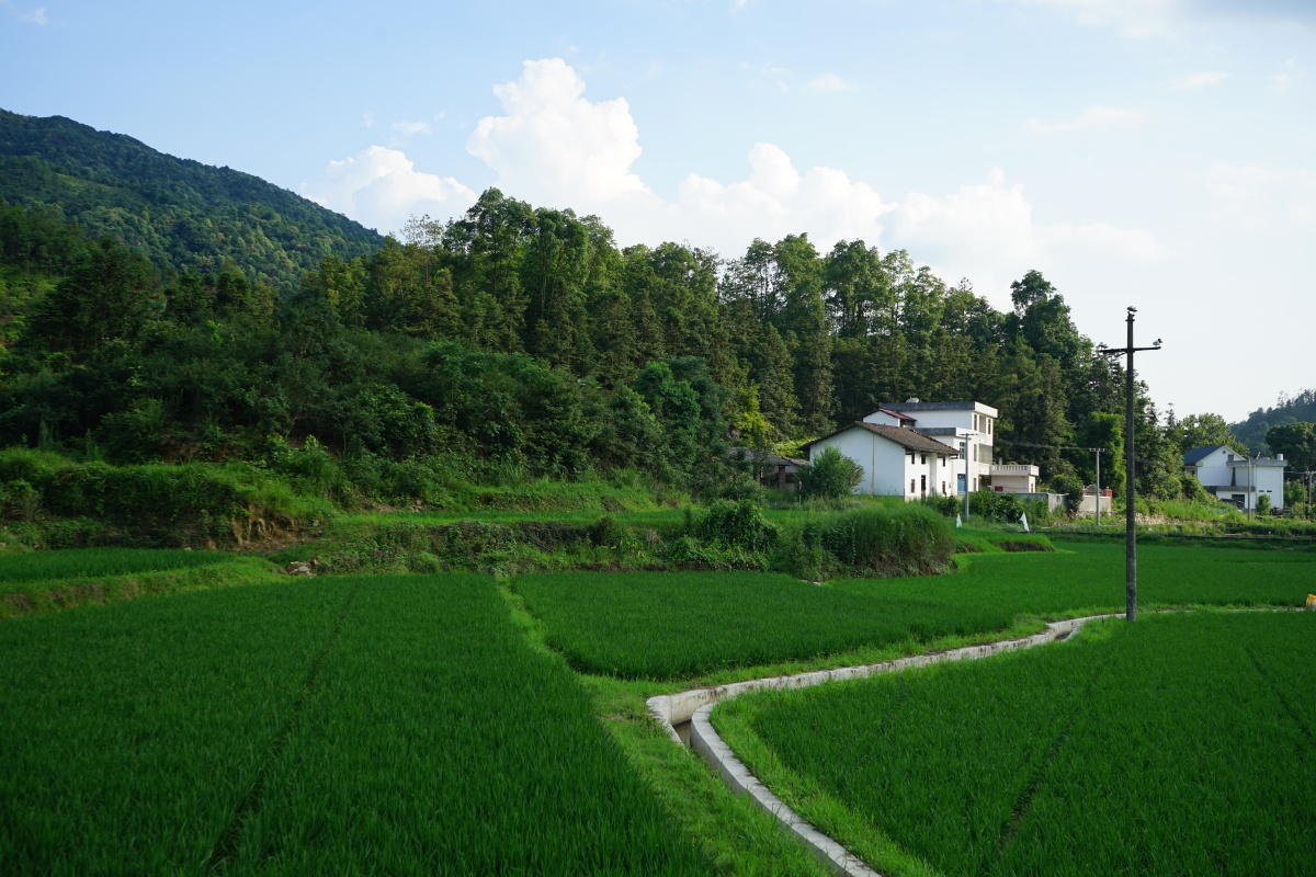 乡村生活原图直出