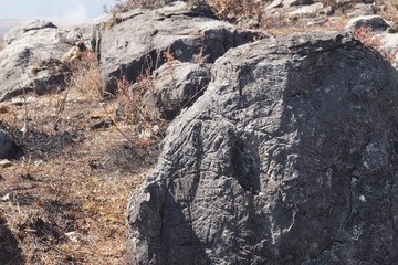 504