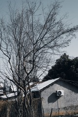 60101