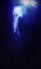 2CFAE293-C79A-4015-B300-4421F4FAA20D/L0/001