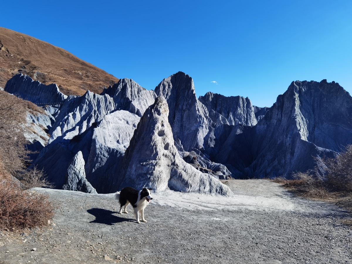 木格措墨石公园