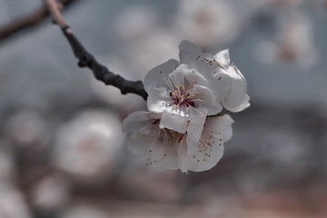 882AB94E-E153-46DB-AFDD-B69DD961B6F1/L0/001