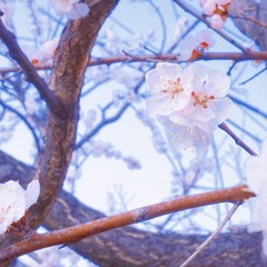 5D105E08-A62E-49C2-8E5E-3EFD5C894EA1/L0/001