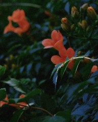 3083CEDB-FD8C-4626-A6C9-005C6887D8CA/L0/001