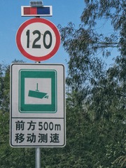 12333