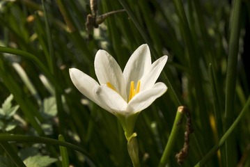 IMGP9144