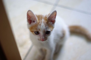 IMGP7065 