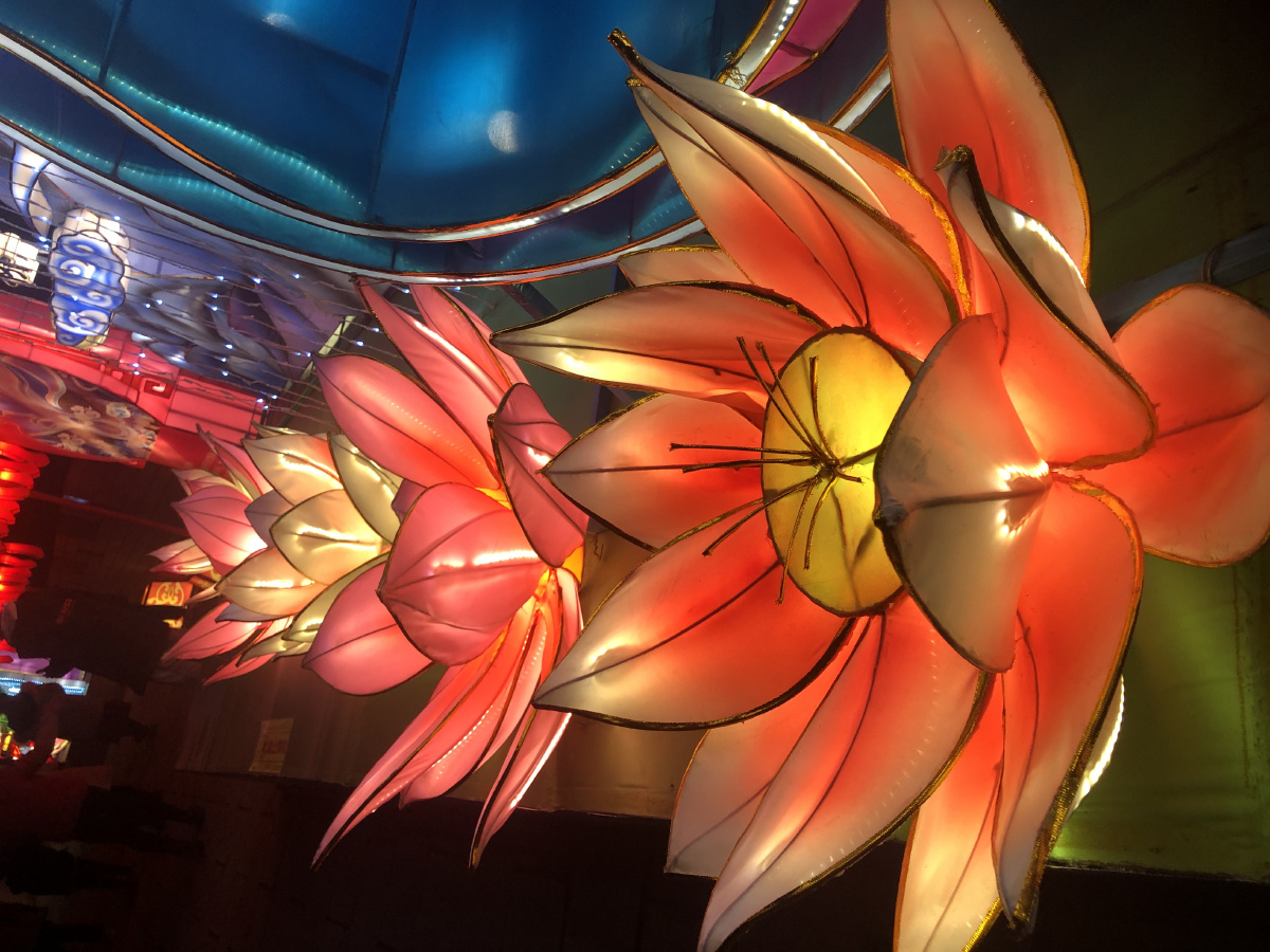 过年张飞庙里的灯会,很漂亮9595 - 唯美的景色 - 图虫