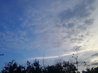 2240146