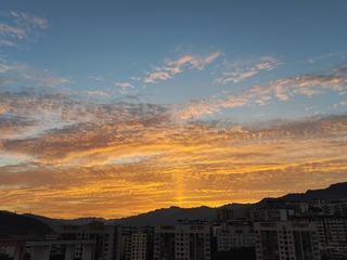 1000863042