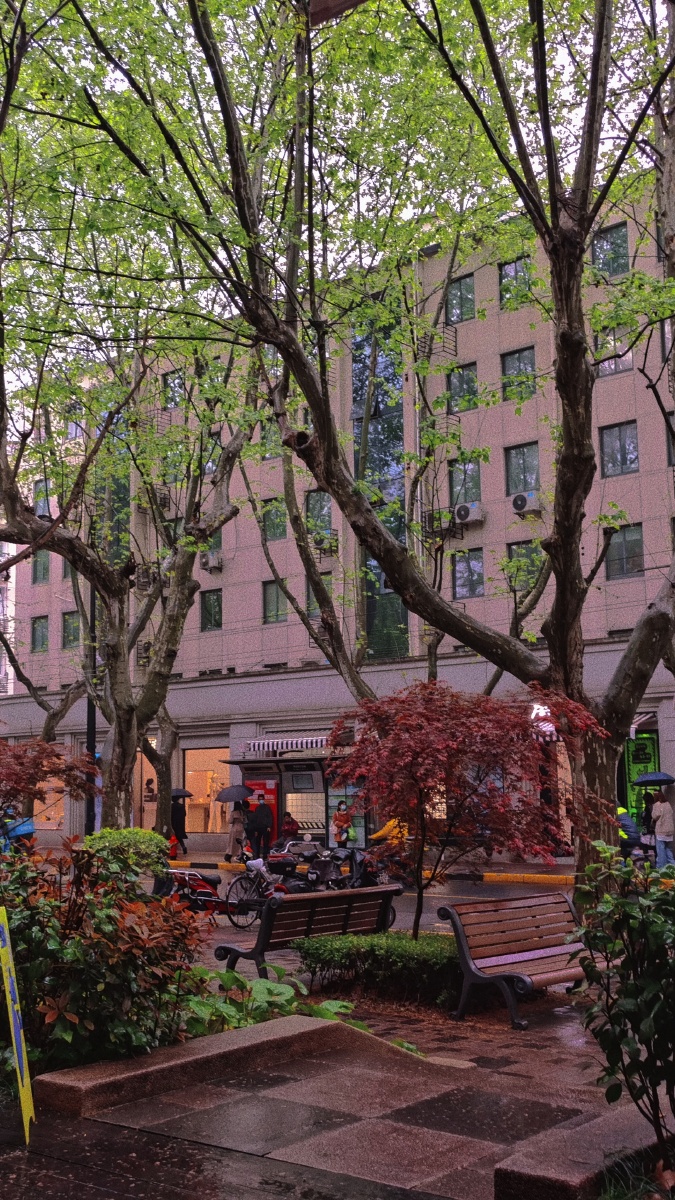 上海雨季街角一督