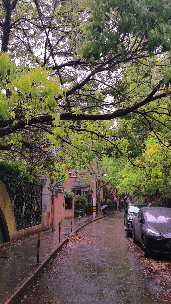 上海雨季街角一督