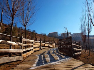 P1295147